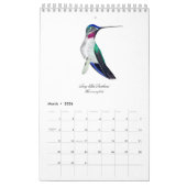 Hummingbird Calendar Kalender (Mar 2026)