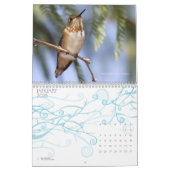 Hummingbird Calendar Kalender (Jan 2026)
