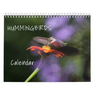 Hummingbird Calendar Kalender