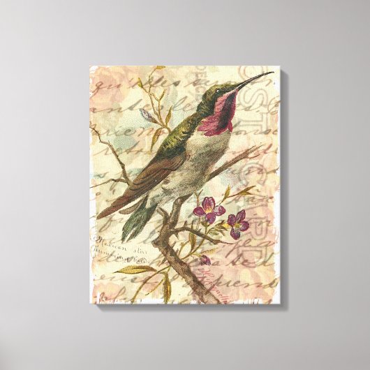 Hummingbird Canvas Afdruk (Voorkant)
