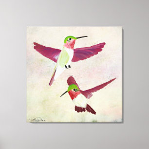 Hummingbird Canvas Kunst
