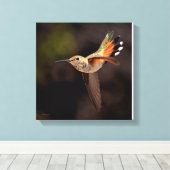 Hummingbird Canvas Print (Insitu (Houten vloer))