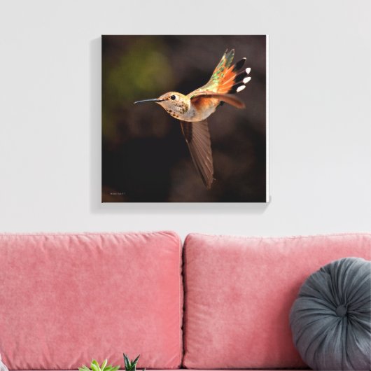 Hummingbird Canvas Print (Insitu (Woonkamer))