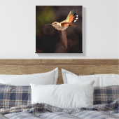 Hummingbird Canvas Print (Insitu (Slaapkamer))