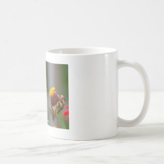 Hummingbird Classic White Mok
