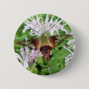 Hummingbird Clear Wing Moth Coordinating Items Ronde Button 5,7 Cm