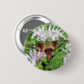 Hummingbird Clear Wing Moth Coordinating Items Ronde Button 5,7 Cm (Voorkant /achterkant)