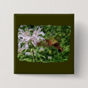 Hummingbird Clear Wing Moth Coordinating Items Vierkante Button 5,1 Cm