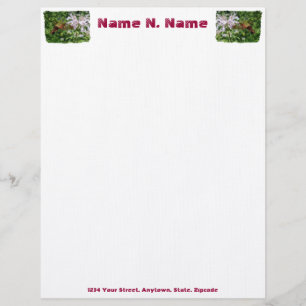 Hummingbird Clear Wing Moth Letterhead Gepersonaliseerd Briefhoofd