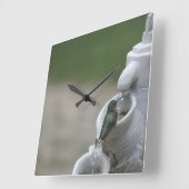 Hummingbird Clock Vierkante Klok (Hoek)