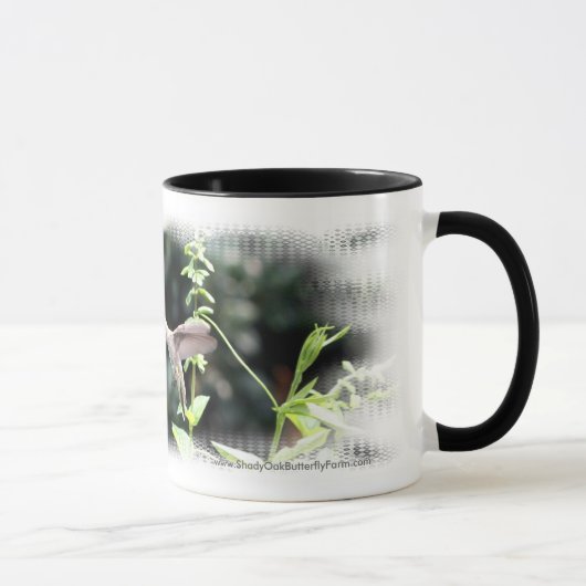 Hummingbird Coffee Mok (Rechts)