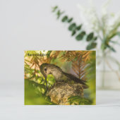 Hummingbird construit un nid- carte postale (Debout devant)