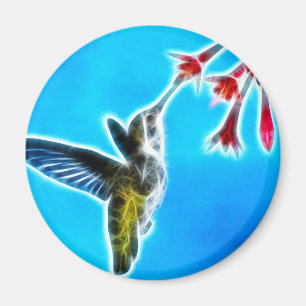 Hummingbird Eet Nectar Magneet