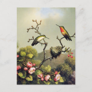 Hummingbird Family en Apple Blossom Briefkaart