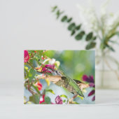 Hummingbird Fast Food Briefkaart (Staand voorkant)