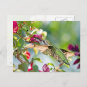 Hummingbird Fast Food Briefkaart (Voorkant / Achterkant)