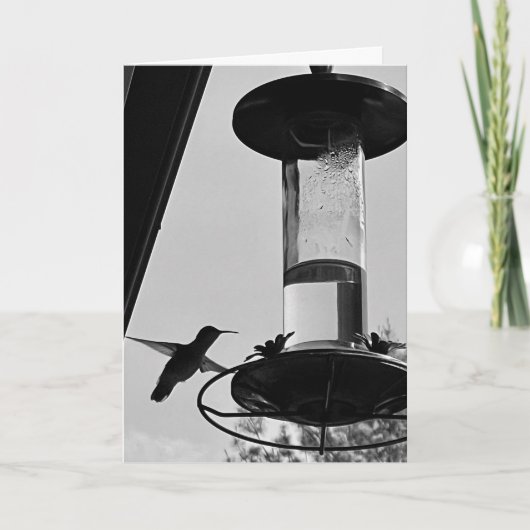 Hummingbird feeder kaart (Voorkant)