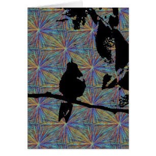 Hummingbird Fireworks