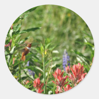 Hummingbird Flowers Ronde Sticker