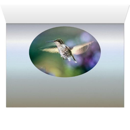 Hummingbird Flying (Binenzijde Horizontaal (Onderkant))