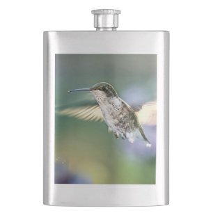 Hummingbird Flying Flacon