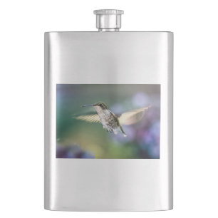 Hummingbird Flying Flacon