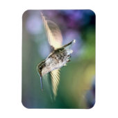 Hummingbird Flying Magneet (Verticaal)