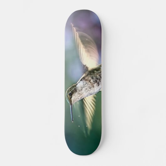 Hummingbird Flying Skateboard (Voorkant)