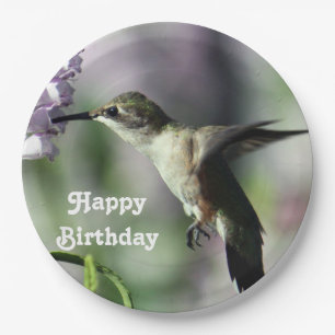 Hummingbird Foto Birthday Papieren Bordje
