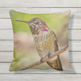 Hummingbird Foto buitenshuis Sierkussen