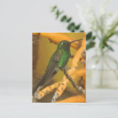Hummingbird Fotografie Briefkaart (Staand voorkant)
