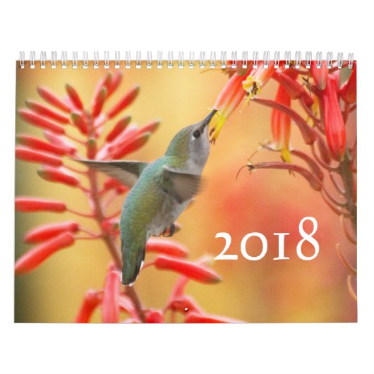 Hummingbird galore kalender (Hoes)