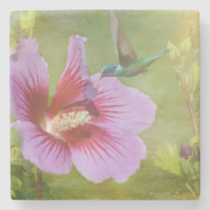 Hummingbird Gathering Nectar Stone Onderzetter