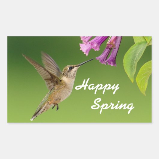 Hummingbird Happy Spring Rechthoekige Sticker (Voorkant)
