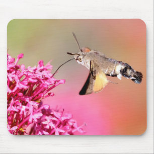 Hummingbird Hawk-moth butterfly tijdens vlucht Met Muismat