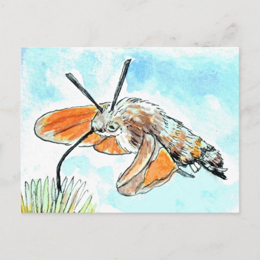 Hummingbird Hawk Moth Painting Briefkaart (Voorkant)