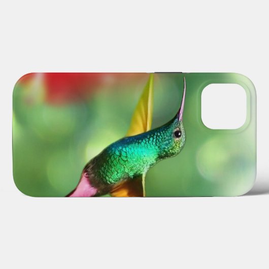 Hummingbird Hoesje-Mate Apple iPhone 13 Case-Mate iPhone Case (Achterkant (horizontaal))