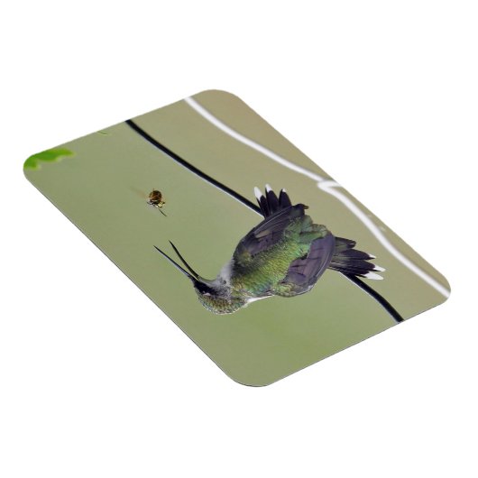 Hummingbird & Honey Bee Magneet (Rechterzijde)