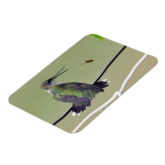 Hummingbird & Honey Bee Magneet (Linkerzijde)