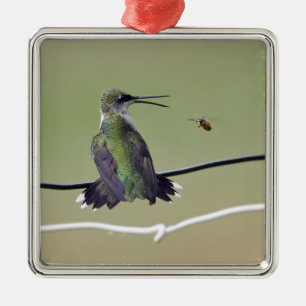 Hummingbird & Honey Bee Metalen Ornament