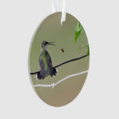 Hummingbird & Honey Bee Ornament (voorkant)