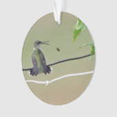 Hummingbird & Honey Bee Ornament (voorkant)