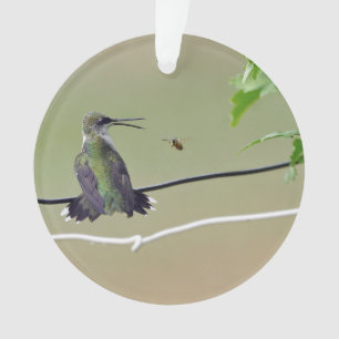 Hummingbird & Honey Bee Ornament