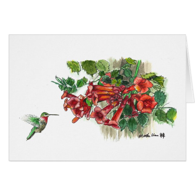 Hummingbird honeysucrose (Voorkant Horizontaal)