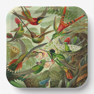 Hummingbird Illustratie door Ernst Haeckel Papieren Bordje