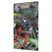 Hummingbird in Flight and Red Flowers Klembord (Links)
