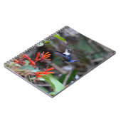 Hummingbird in Flight and Red Flowers Notitieboek (Linkerzijde)