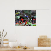 Hummingbird in Flight and Red Flowers Poster (Keuken)