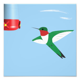 Hummingbird in Flight print Foto Afdruk