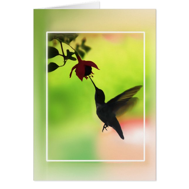 Hummingbird in Silhouette (Voorkant)